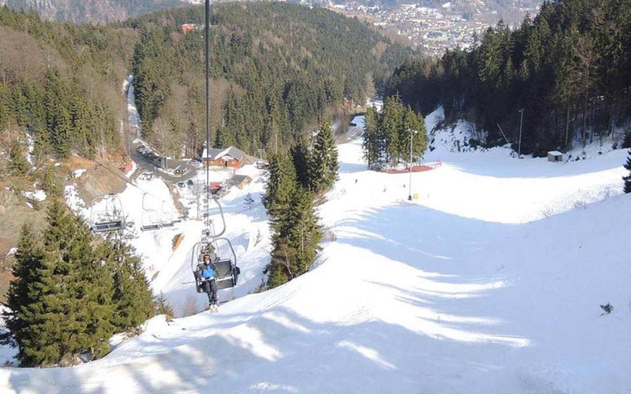 Ferienwohnung Klaus Im Tal Der Steinach Steinach  Exterior photo